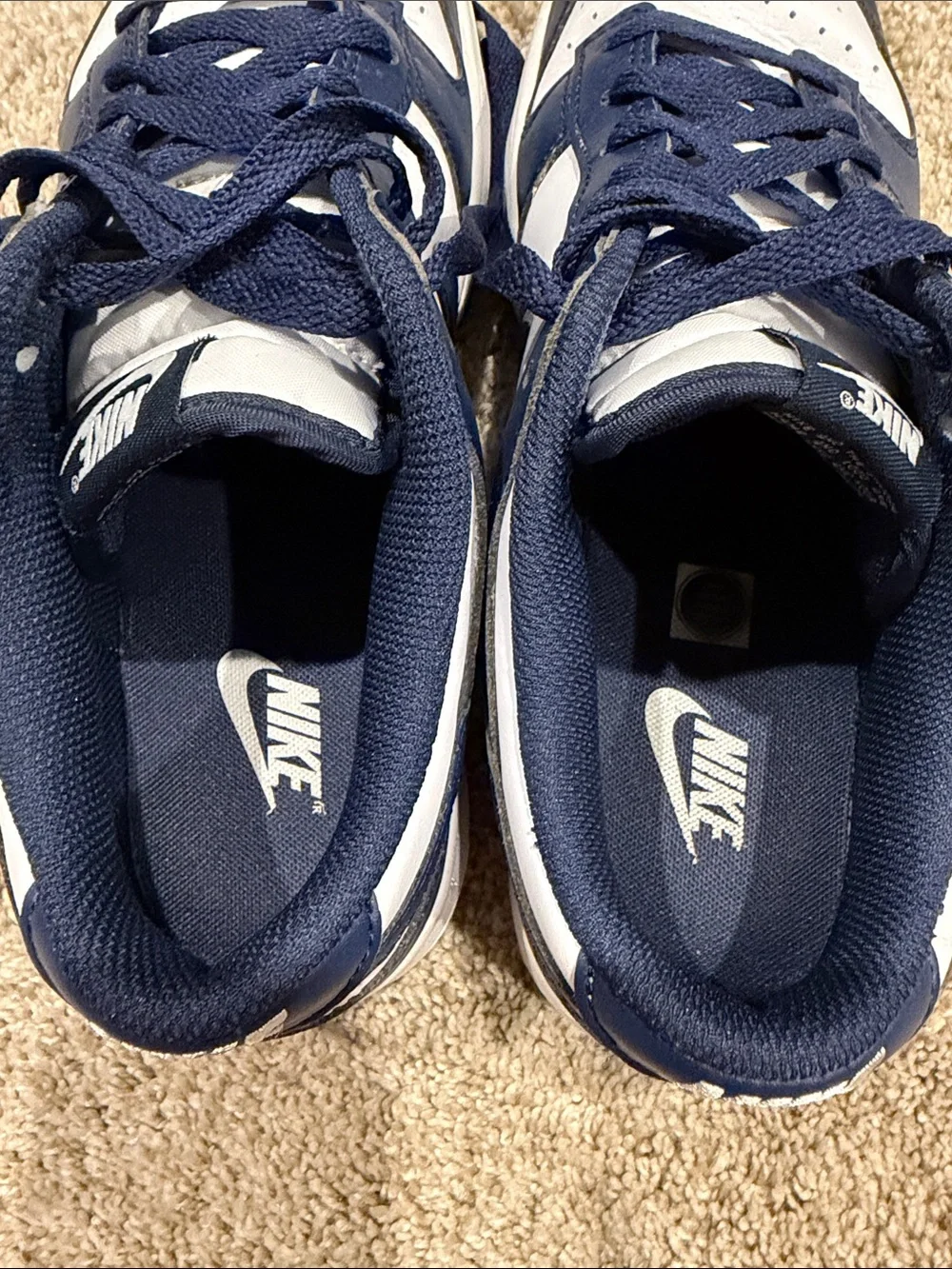 Nike Dunks - Navy and White Low-Top Sneakers